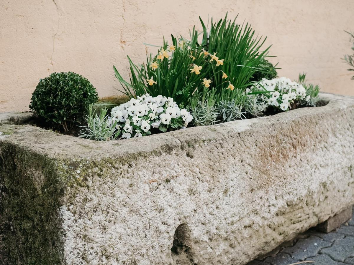 B&B Roudenhaff Echternach Bagian luar foto