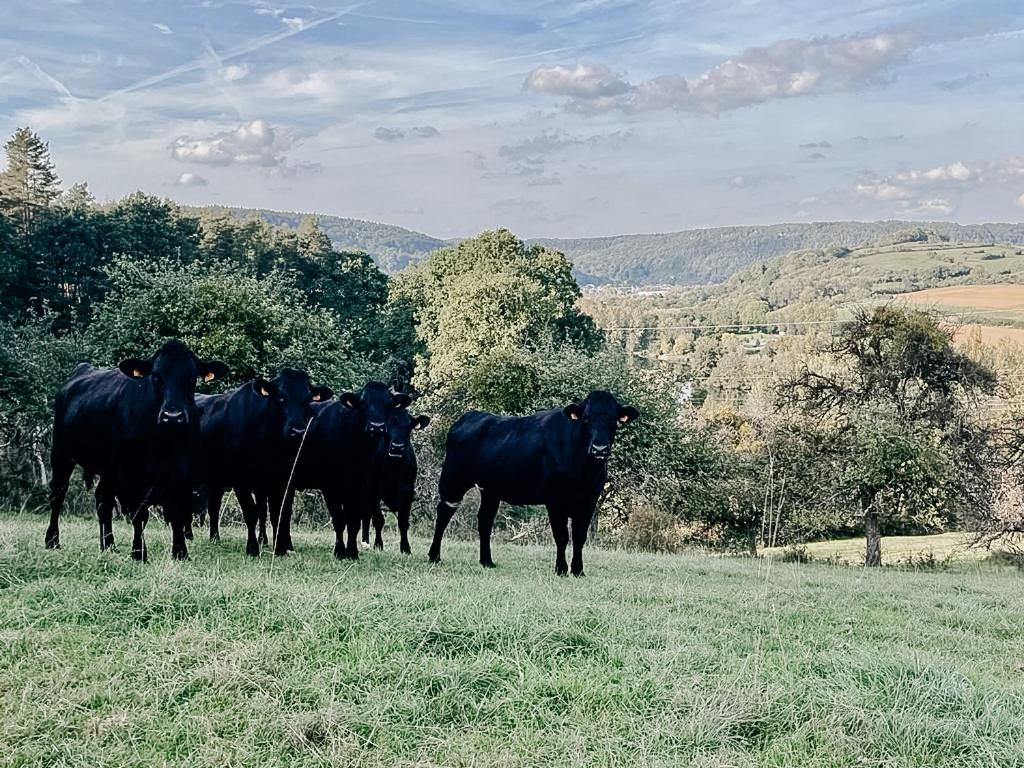 B&B Roudenhaff Echternach Bagian luar foto