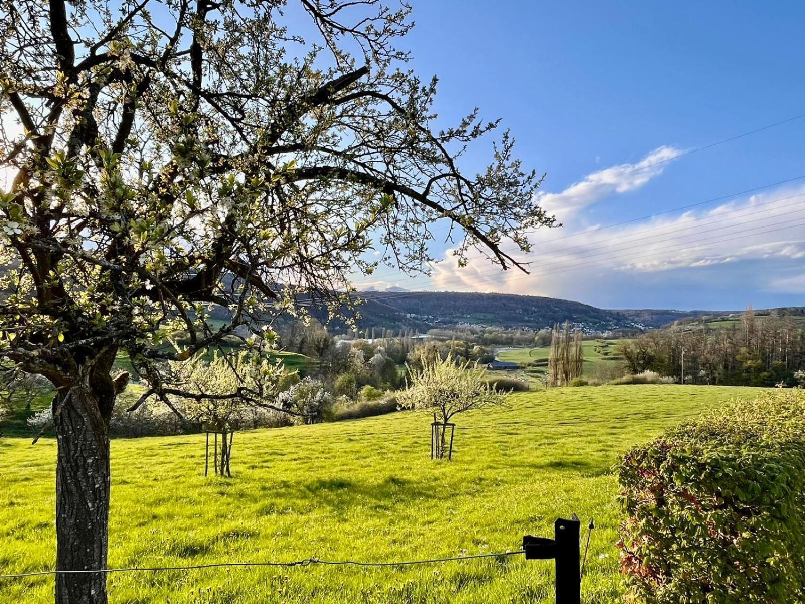 B&B Roudenhaff Echternach Bagian luar foto